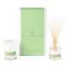 Best reviews of ???? Palm Beach Collection Jasmine & Lime Mini Candle & Diffuser Gift Pack ????