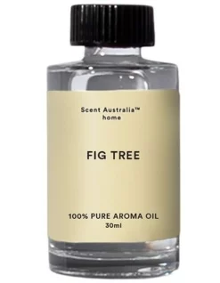 Top 10 ✔️ Scent Australia Fig Tree Oil 30ml 🎉